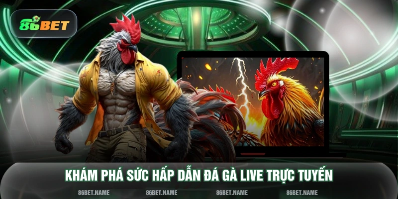 Khám phá sức hấp dẫn đá gà Live trực tuyến